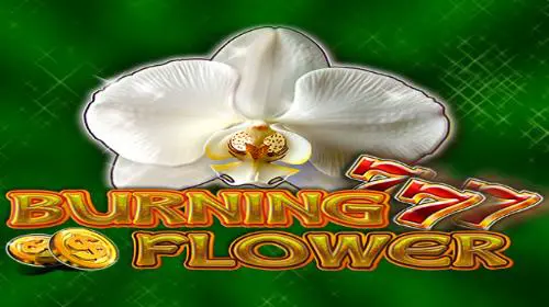 Burning Flower - Spin City - Congo